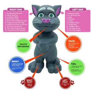 Talking Cat for Kids | Musical Cat Toy | Gift for Children