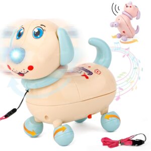 Dancing Dog Toys for Kids with LED Lights Music