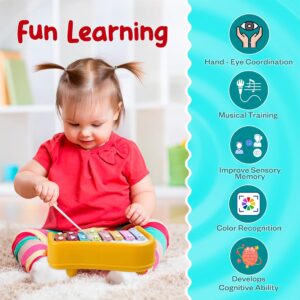 8 Tone Xylophone Learning Toys Kids Educational Knock Playing 2 in 1 Colorful Plastic Percussion Piano Toy (Multi Color)